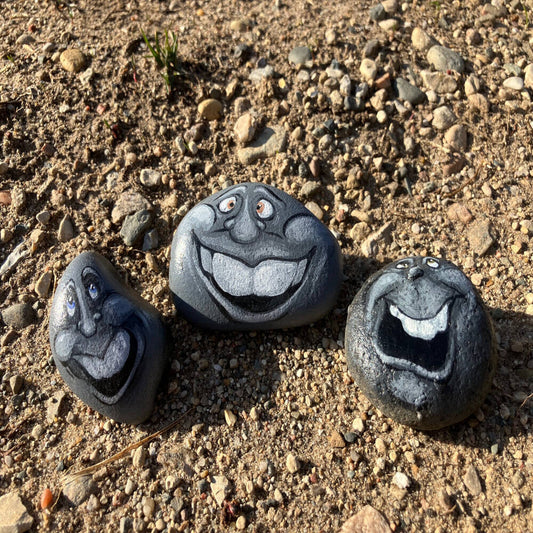 Fieldstone Friends – Hand Painted Rock Faces