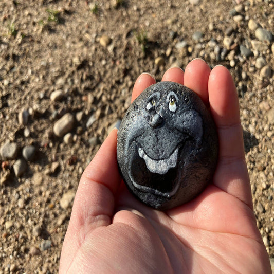 Fieldstone Friends – Hand Painted Rock Faces