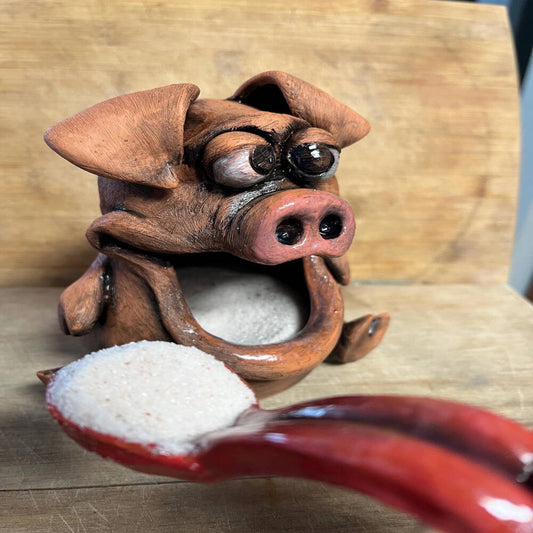 Hand-Sculpted Ceramic Salt Pig – Whimsical Pottery Salt Cellar